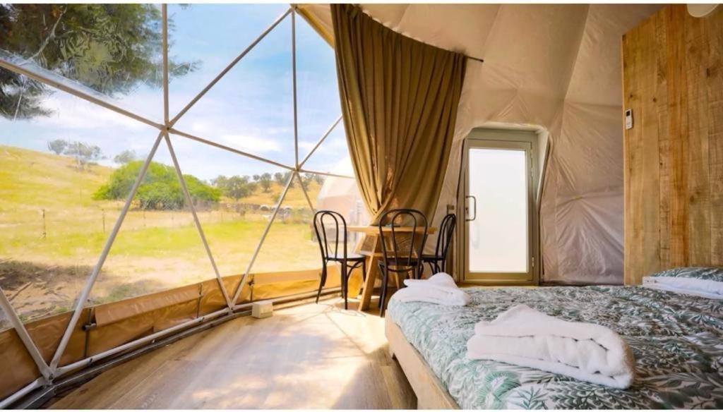 Villa Caravans Park & Glamping Tents In The Vineyard Turda Exterior foto