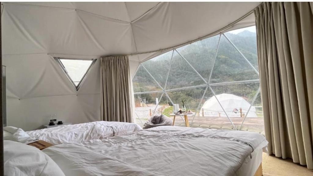 Villa Caravans Park & Glamping Tents In The Vineyard Turda Exterior foto